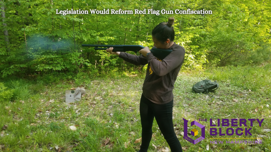 legislation-would-reform-red-flag-gun-confiscations-in-new-hampshire
