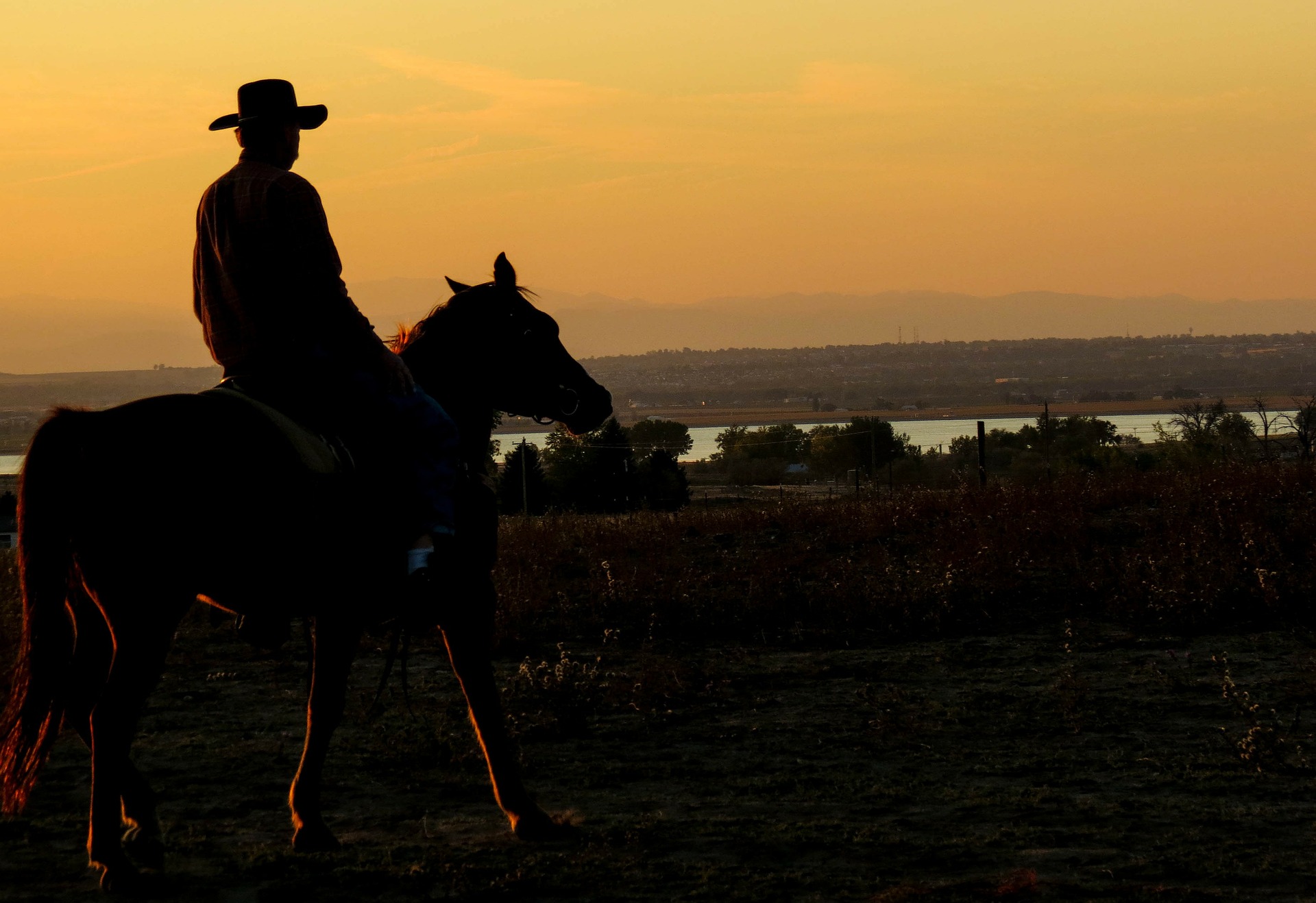 Westworld Cautions Against Tyranny The Liberty Block westworld-cautions-against-tyranny-the-liberty-block