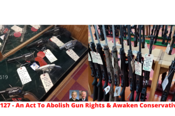 HR127 - An Act To Abolish Gun Rights & Awaken Conservatives