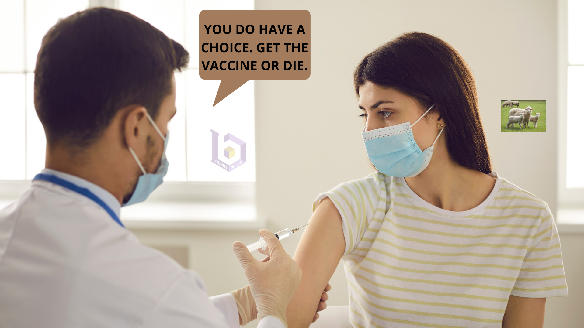 Rebuttal To Article Condemning 'Vaccine Hesitant' People The Liberty